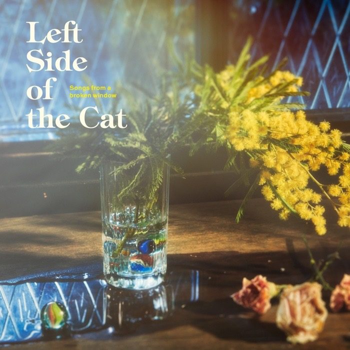 Left Side of the Cat